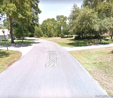 Premium home site in Cypress Village of Sugarmill Woods - photo 6
