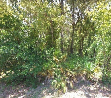 Premium home site in Cypress Village of Sugarmill Woods - photo 7