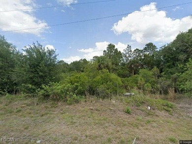 Lehigh Acres Area Lot For Sale in Lehigh Acres Florida