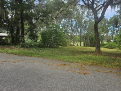 Lake Lot For Sale in Ocklawaha, Florida