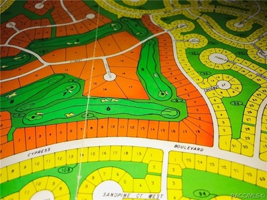 Premium home site on the golf course in Cypress Village at - photo 3