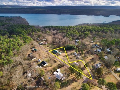 Lake Home For Sale in Plainview, Arkansas