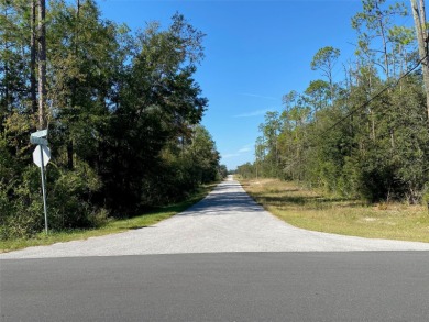 Lake Lot For Sale in Dunnellon, Florida
