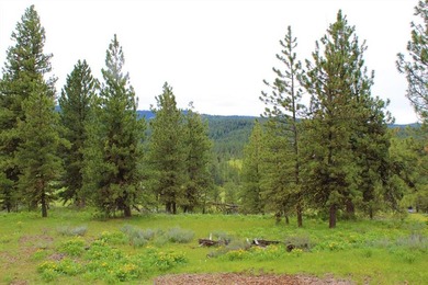 AMAZING, ONE-OF-A-KIND PROPERTY IN AN INCREDIBLY SCENIC AREA - photo 41
