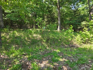 Lake Lot For Sale in Oakland, Arkansas