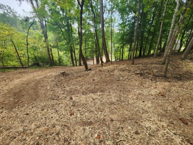 Cherokee Lake Lot For Sale in Mooresburg Tennessee