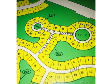 Premium home site in Oak Village at Sugarmill Woods. Lot 31 - photo 3