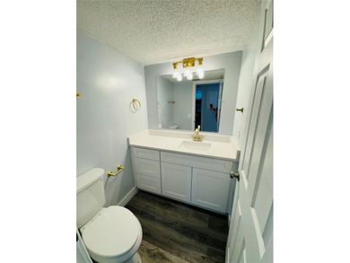 Discover this beautifully just-remodeled townhouse in Rosemont - photo 4
