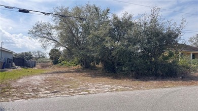 Lehigh Acres Area Lot For Sale in Lehigh Acres Florida