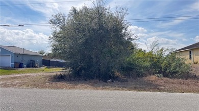 Explore the opportunity to own land in one of Southwest - photo 2