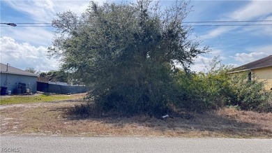 Explore the opportunity to own land in one of Southwest - photo 3