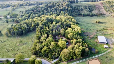 Douglas Lake Acreage For Sale in New Market Tennessee
