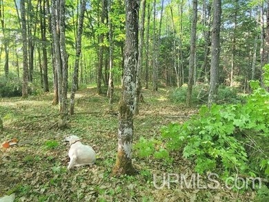 Build your Northwoods getaway just across the way from beautiful - photo 11
