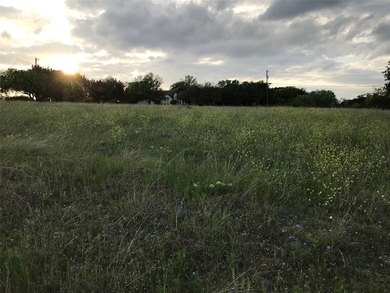 Quarter acre lot which has been cleared is located in 24-7 gated - photo 5