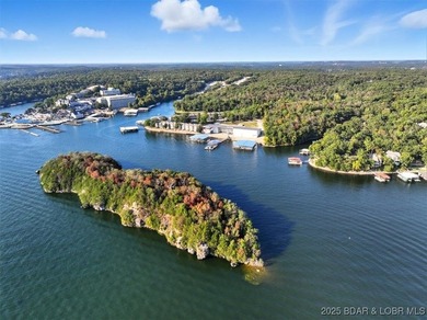An Iconic 26MM Development Opportunity! Private Island + - photo 17