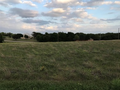 Quarter acre lot which has been cleared is located in 24-7 gated - photo 10