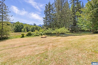 Looking for a gorgeous mountain backdrop on a private 1.1+ acre - photo 39