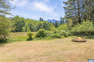 Looking for a gorgeous mountain backdrop on a private 1.1+ acre - photo 40