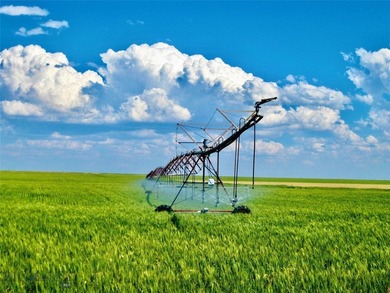 (private lake, pond, creek) Home For Sale in Valier Montana