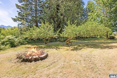 Looking for a gorgeous mountain backdrop on a private 1.1+ acre - photo 44