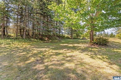 Looking for a gorgeous mountain backdrop on a private 1.1+ acre - photo 47