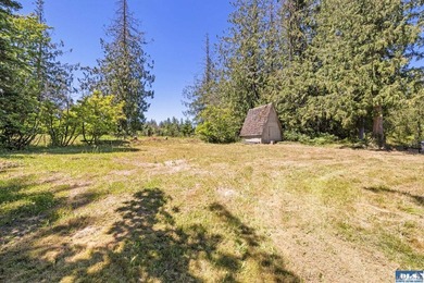 Looking for a gorgeous mountain backdrop on a private 1.1+ acre - photo 48