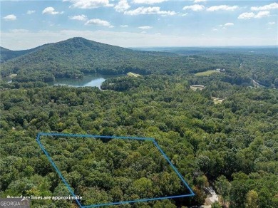 Lake Lot For Sale in Jasper, Georgia