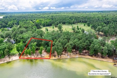 Lake Lot For Sale in Scroggins, Texas
