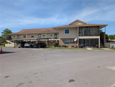 Lake Condo For Sale in Astor, Florida
