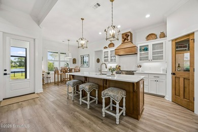 Welcome to 2211 Isles of St. Marys Way, where timeless elegance - photo 15