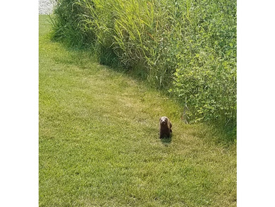 It's not every day that a unique premium riverfront property - photo 16