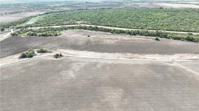 112 Acres FOR SALE in Progreso Lakes, one of the RGV's hidden - photo 18