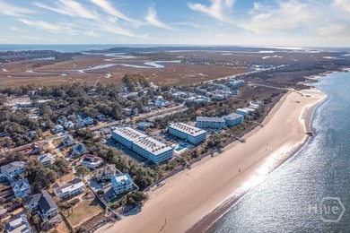 Enjoy coastal living in this recently updated beachside Tybee - photo 44