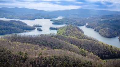 Watauga Lake Acreage For Sale in Butler Tennessee