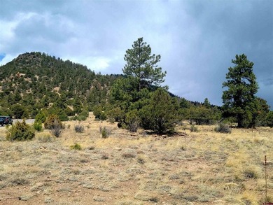 Connie Goodnight, Land Properties, LLC, C:,,: Prime Lot at The - photo 4