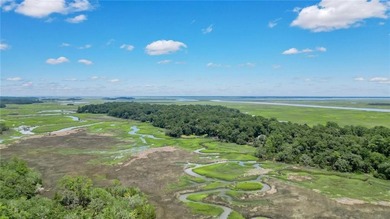Gorgeous marshfront lot in desired Tolomato Island - photo 12