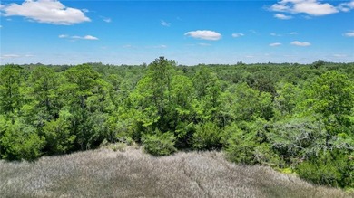 Gorgeous marshfront lot in desired Tolomato Island - photo 13