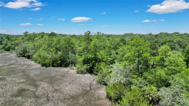 Gorgeous marshfront lot in desired Tolomato Island - photo 14