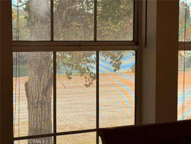 3397 Hwy 95 #223 - photo 14