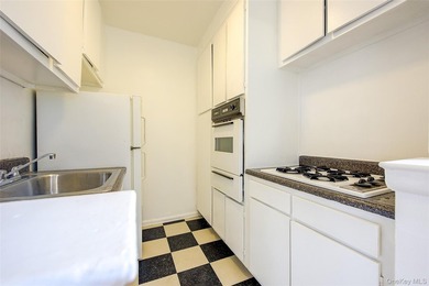 Sunny & spacious, Alcove Studio / one bathroom apartment. The - photo 15
