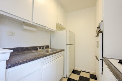 Sunny & spacious, Alcove Studio / one bathroom apartment. The - photo 16