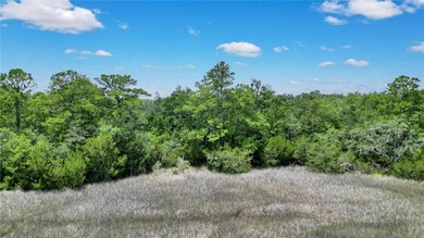 Gorgeous marshfront lot in desired Tolomato Island - photo 17