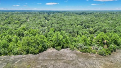 Gorgeous marshfront lot in desired Tolomato Island - photo 18