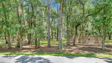 Gorgeous marshfront lot in desired Tolomato Island - photo 30
