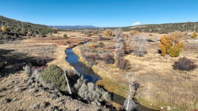 Lake Lot For Sale in Durango, Colorado