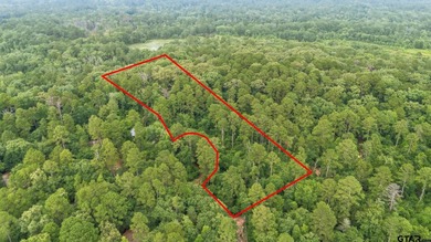 Holly Lake Ranch / Holly Lake Lot For Sale in Holly Lake Ranch Texas