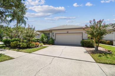 Lake Home For Sale in Tampa, Florida