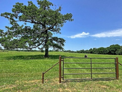 (private lake, pond, creek) Acreage For Sale in Athens Texas