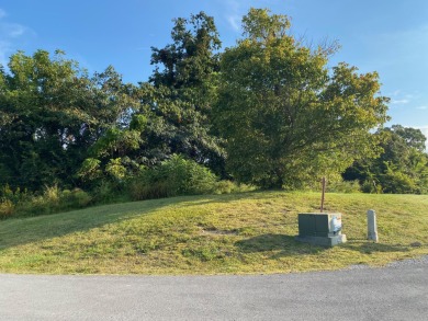Cherokee Lake Lot For Sale in Bean Station Tennessee