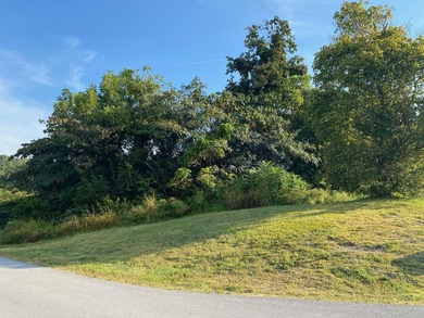Fantastic building lot in the gated lakeside community of - photo 3
